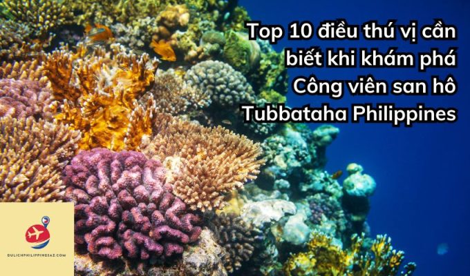 Top 10 điều thú vị cần biết khi khám phá Công viên san hô Tubbataha Philippines