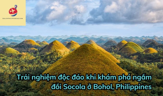 Trải nghiệm độc đáo khi khám phá ngắm đồi Socola ở Bohol, Philippines